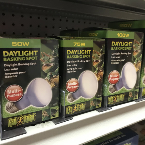 Shelf Management